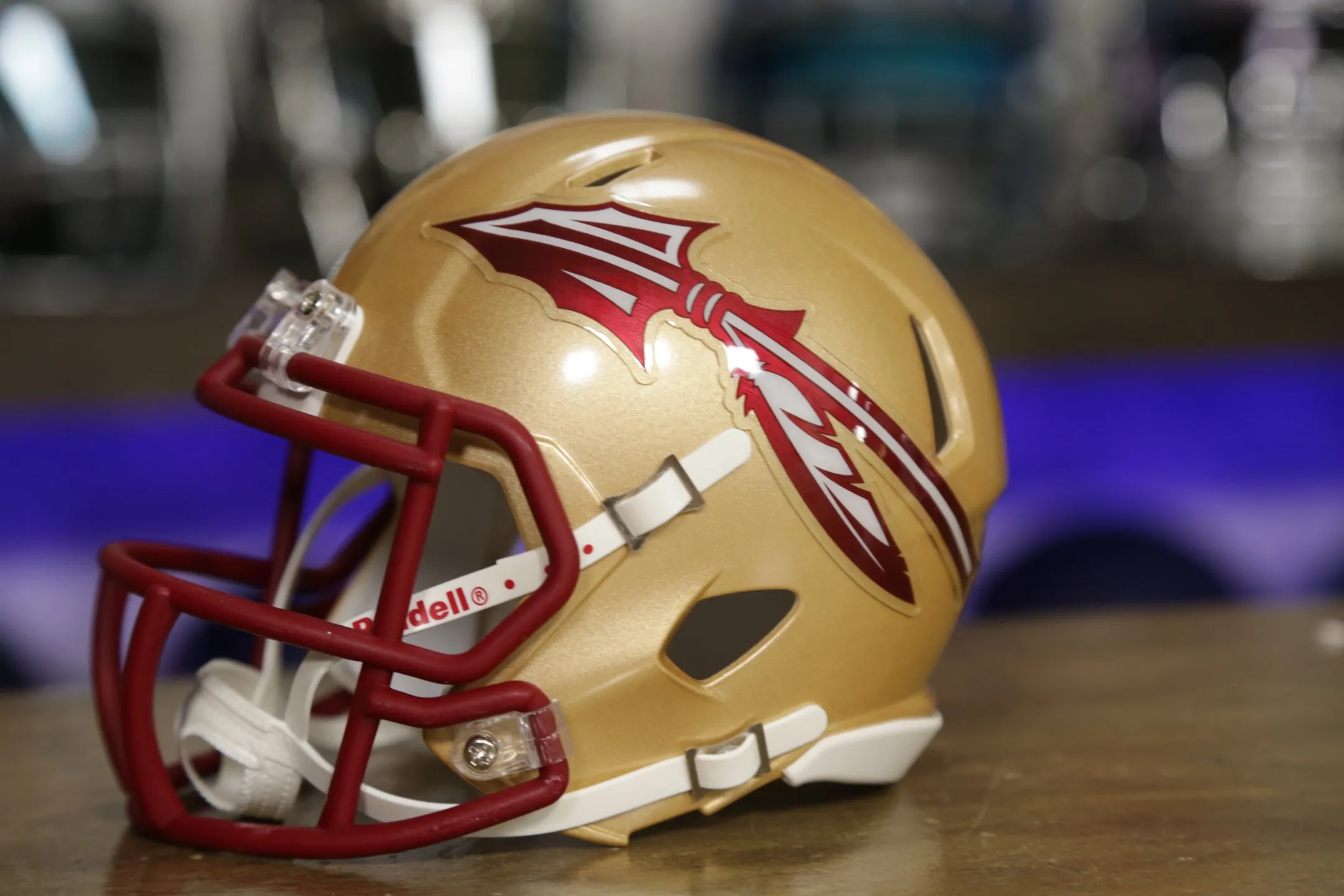 Florida State Seminoles Riddell Speed Mini Helmet