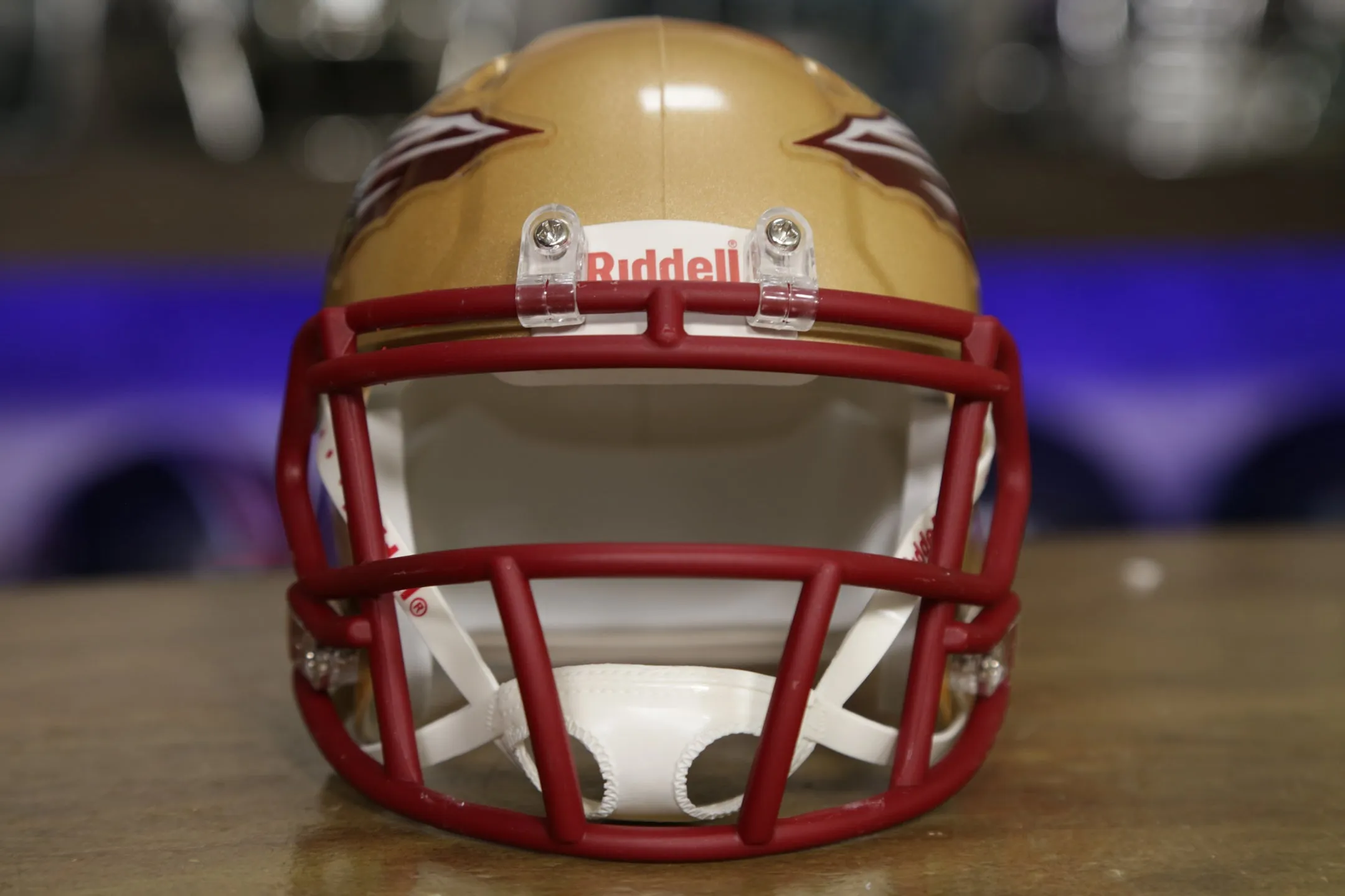 Florida State Seminoles Riddell Speed Mini Helmet