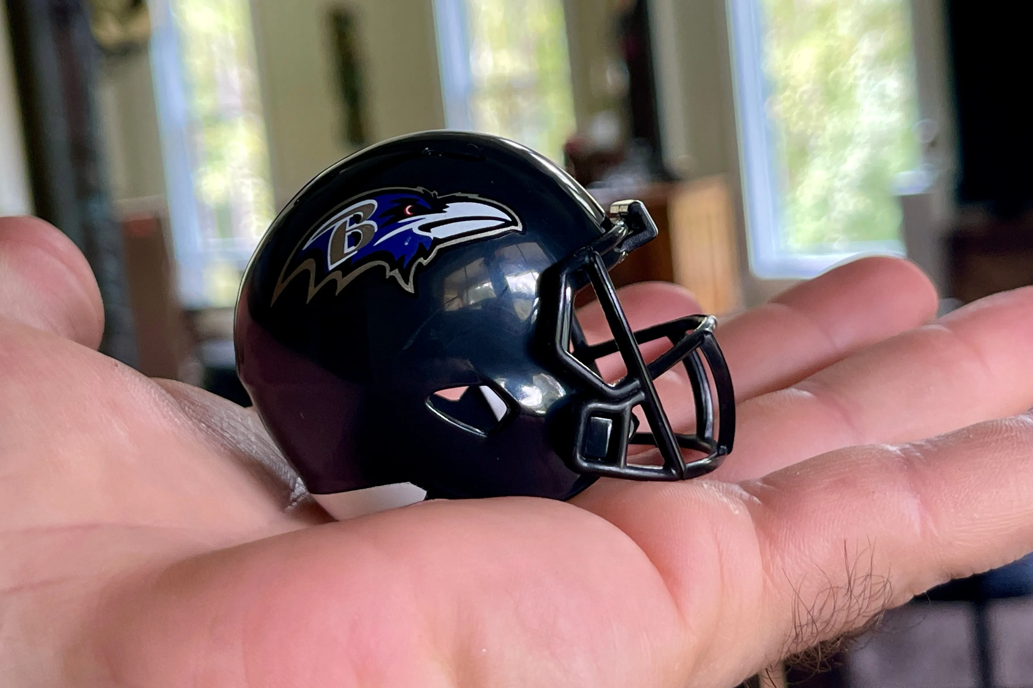 Minnesota Vikings Riddell Speed Pocket Pro