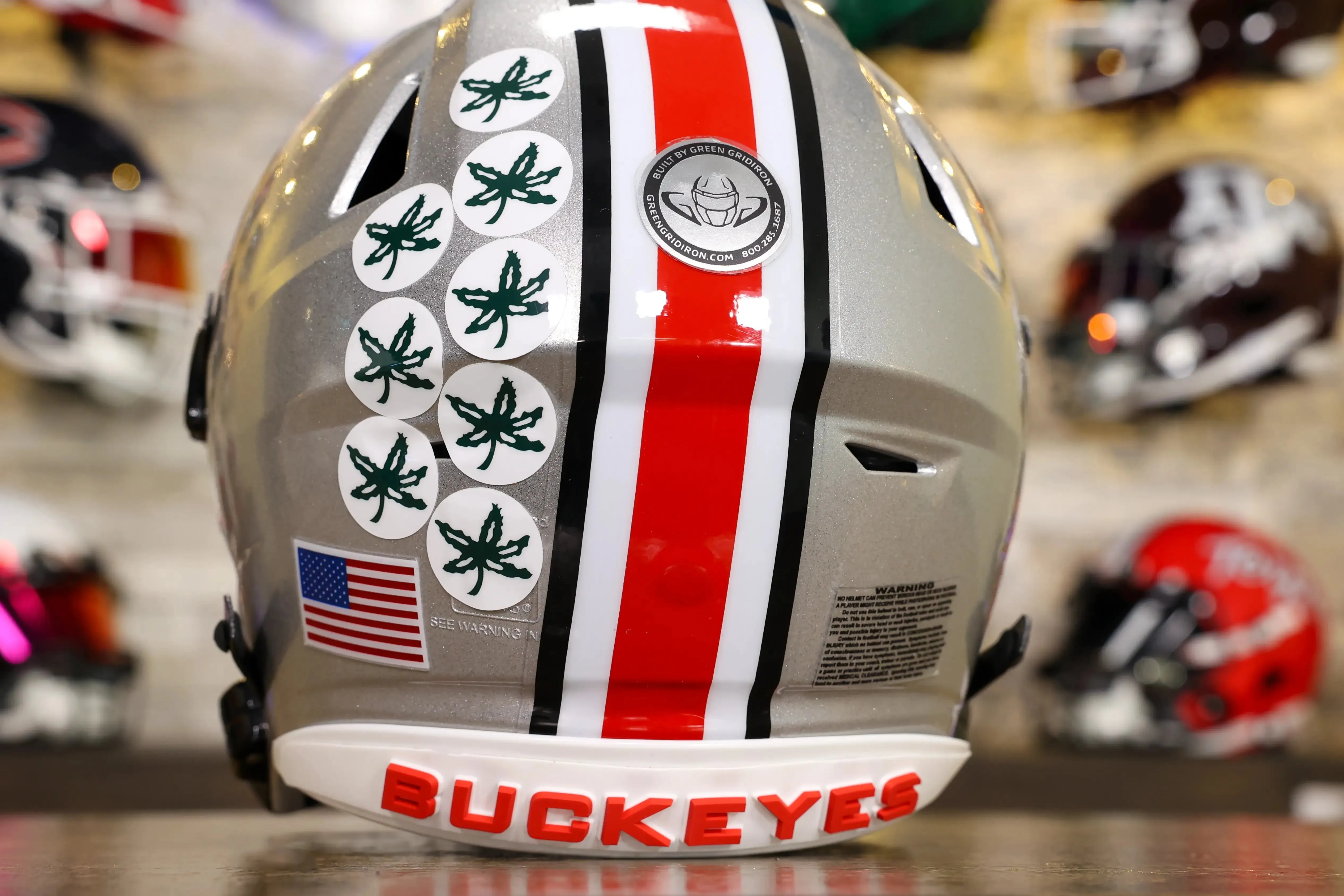 Ohio State Buckeyes Riddell SpeedFlex Helmet - GG Edition 02544